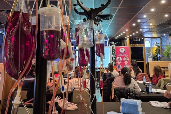 {{brizy_dc_image_alt imageSrc=